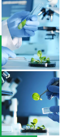 创新驱动，智领未来——我们的企业简介